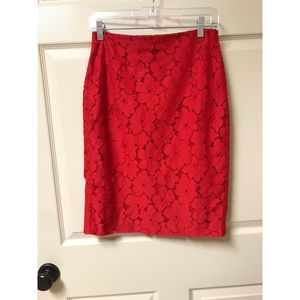Banana Republic Lace Skirt Fully Lined